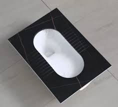 Squatting Toilet with Meble Top